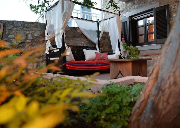The Fig Tree House