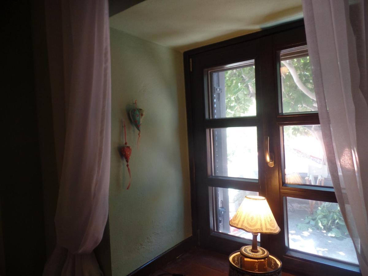 The Fig Tree House