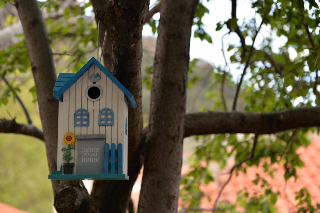 The Fig Tree House * Samothraki