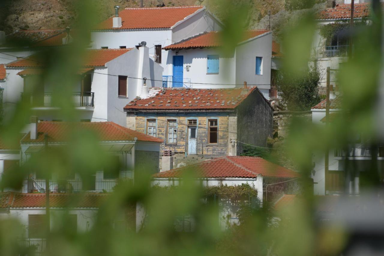 The Fig Tree House Samothraki